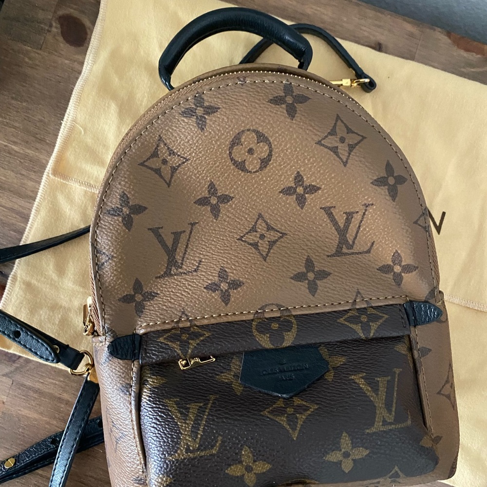 Louis Vuitton Palms springs mini